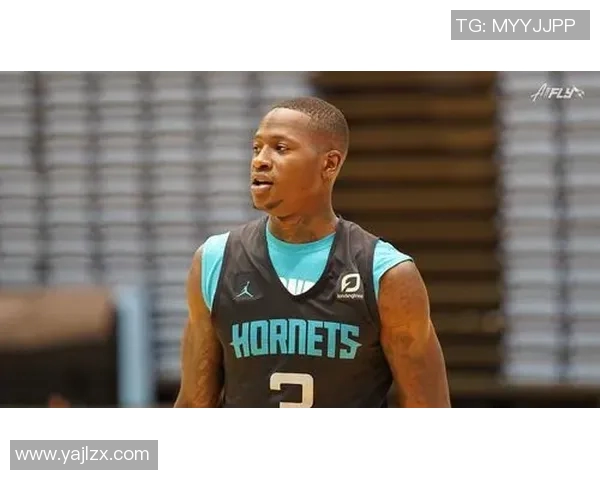 特里罗齐尔的篮球之路与成长历程探索